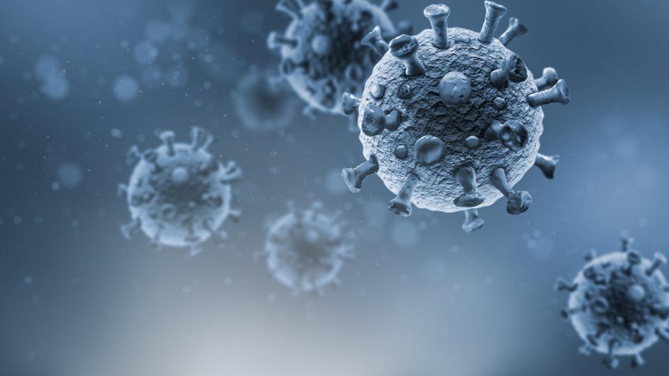 WHO Reportedly Finds Animals Are Likely Source Of Covid-19