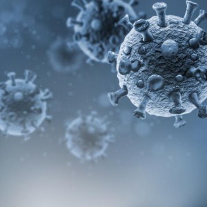 who-reportedly-finds-animals-are-likely-source-of-covid-19