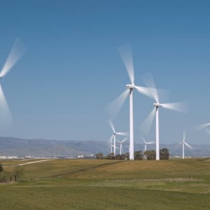 while-many-investors-declare-support-for-socially-responsible-portfolios-not-many-follow-through