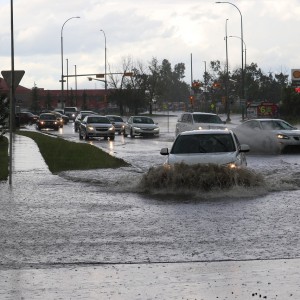 How To Avoid Buying Flood-Damaged Cars