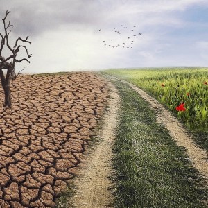 Climate Change Impact On Your Finances, How Can Treasury Department Help