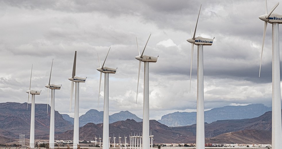 Ecosia, Google Search Engine Rival Launches $405 million VC Fund To Support Climate Tech Start-Up