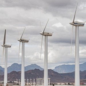 Ecosia, Google Search Engine Rival Launches $405 million VC Fund To Support Climate Tech Start-Up