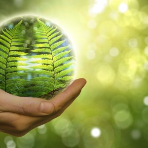 These Are The 6 Fastest-Growing Green Jobs Of The Next Decade—And How Much They Pay