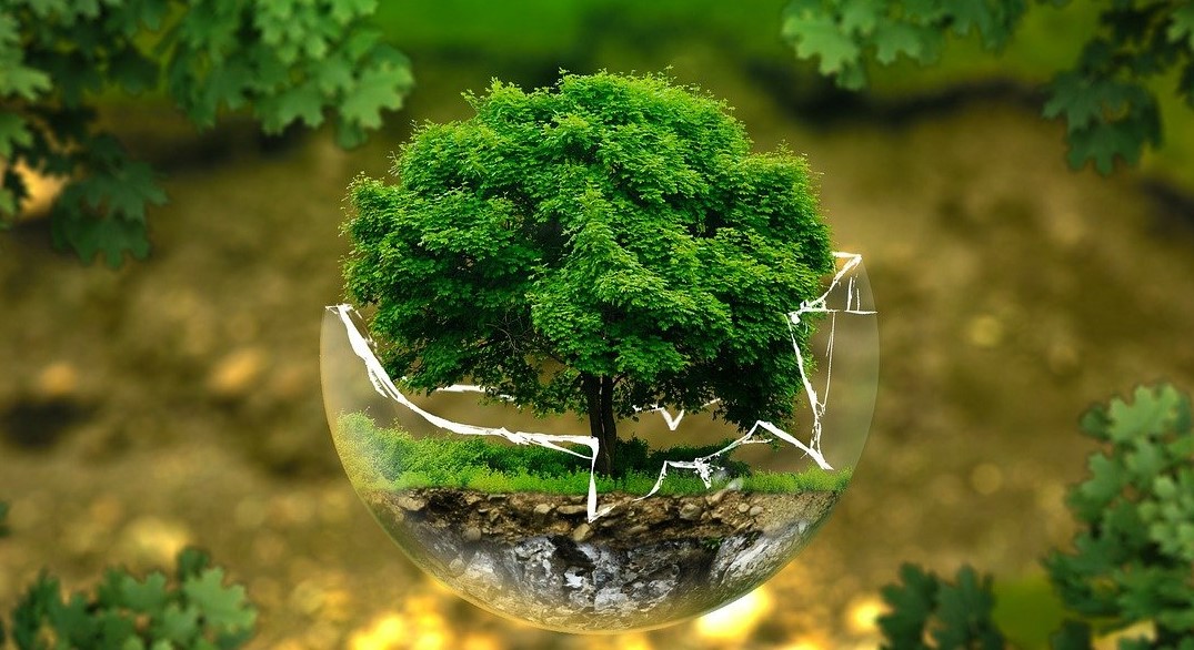 COP26  Etch  Historic Reference To Fossil Fuels But Misses the Urgency Of The Moment Expectation