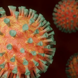 Covid New Variant: Belgium Confirms Case Of New, Heavily Mutated Covid variant