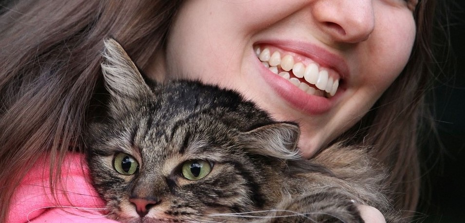 Delta Airlines: Intrigues As Woman Breastfed Cat On Delta Airlines Flight