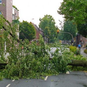 US Tornadoes: Tornadoes Devastate Kentucky, Biden Reaches Out To Affected US States