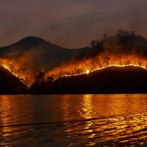 The 5th Hottest Year On Record, Year 2021 Due To Green House Gas Emission