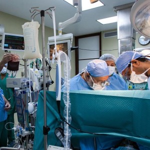 Heart Transplant Mystery: US Man Gets Genetically-Modified Pig Heart In World-First Transplant