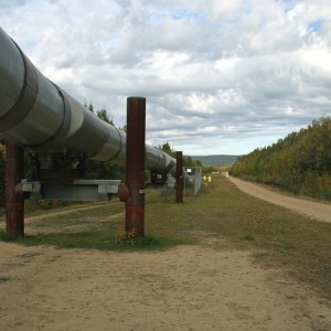 Ukraine Halts Some Russian Gas Flows, Claims Battlefield Gains