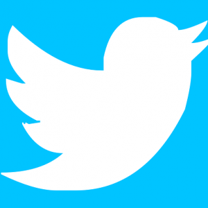 musk-puts-twitter-deal-on-hold-temporarily-shares-slump