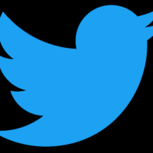 twitter-rejects-elon-musk-allys-resignation-from-board