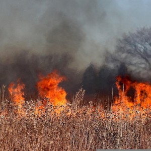 hundreds-evacuated-from-homes-as-wildfires-spread-in-france