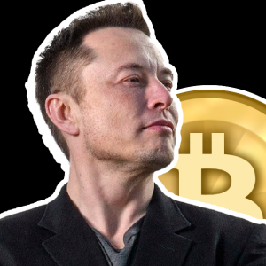 elon-musks-tesla-sells-most-of-its-bitcoin-holdings