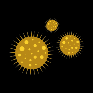 Omicron BA.5:  Displays Reinfections, Severe Outcomes With Protein Toxicity To Heart Cells