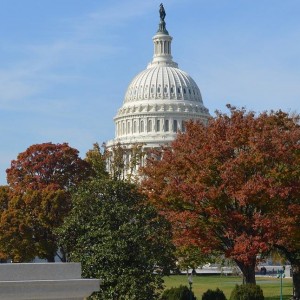 u-s-senate-approves-climate-change-investment-of-369-billion