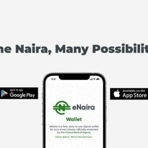 Banks N22 Trillion Claims With CBN Seen Funding Largest Intervention Funds In Nigeria’s History