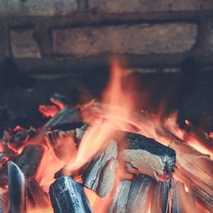 energy-giants-return-to-fossil-fuels-like-coal-as-europe-braces-for-winter