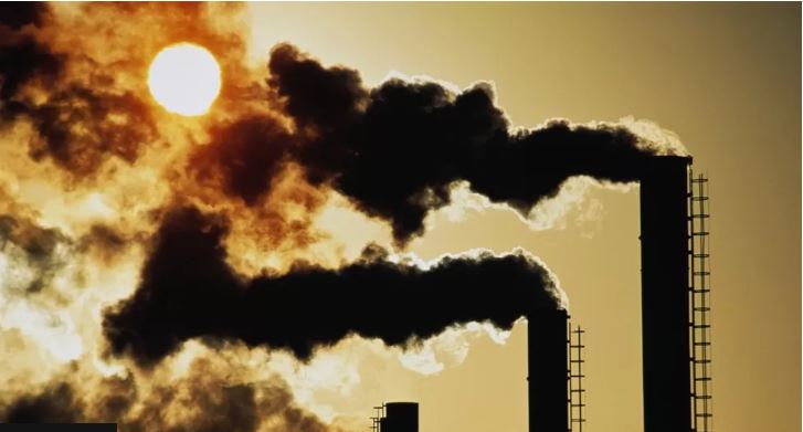 COP27: Regulators Plan Closer Scrutiny Of Carbon Markets