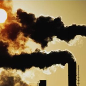 COP27: Regulators Plan Closer Scrutiny Of Carbon Markets