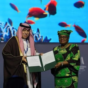 WTO prepares for fisheries, agriculture debates at UAE discussions.