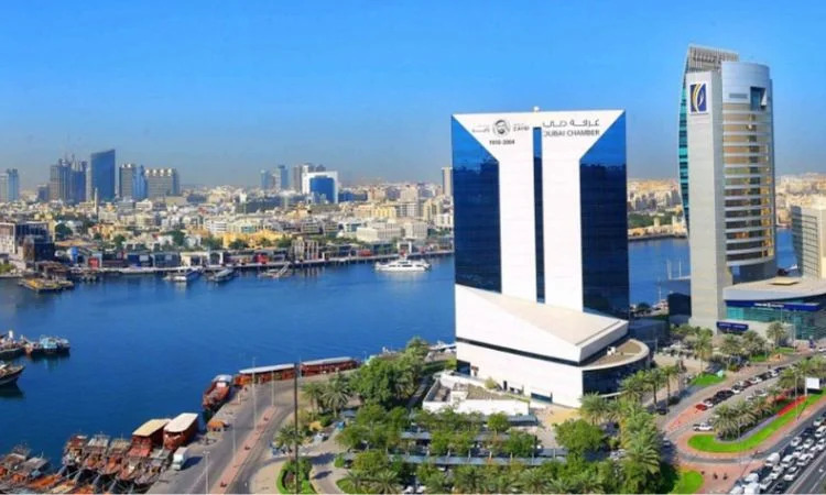 Over 15,000 new Indian companies joined Dubai Chamber of Commerce in 2023