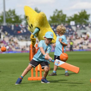 plastic-cricket-balls-for-children-withdrawn-over-high-chemical-level-fears