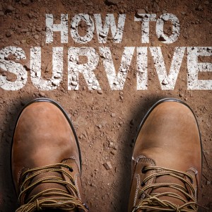 skills-boot-camps-introduced-minister-claims-uk-has-relied-on-foreign-workers-for-too-long