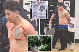 Illegal Immigrant in Custody for Broad Daylight Sex Attack in Queens Park