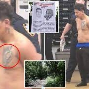 illegal-immigrant-in-custody-for-broad-daylight-sex-attack-in-queens-park