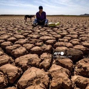 Heatwave kills over 20 in Morocco