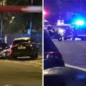 pregnant-woman-and-unborn-baby-die-in-crash-with-police-car-in-london