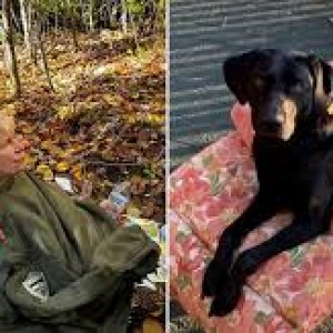 Hiker Survives Four Nights in Forest, Thanks to Heroic Actions of Her Dog