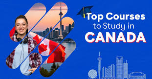 Top 10 Courses to Consider for Securing Work Opportunities in Canada