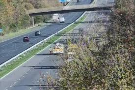 Girl, 17, Killed after Getting Out of Police Vehicle While Being Taken into Custody