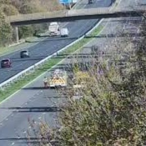 girl-17-killed-after-getting-out-of-police-vehicle-while-being-taken-into-custody