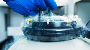 Should Ladies Opt for Egg Freezing with its Associated Costs?