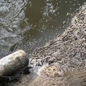 Thames Water Boss Unveils the Challenges of Eliminating Pollution Incidents