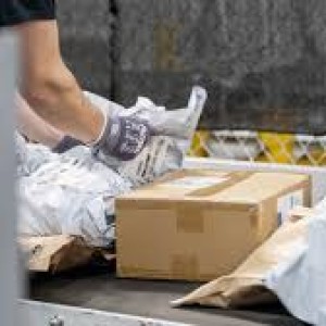 Amazon Faces Senate Report Accusations Over Warehouse Worker Injuries