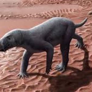 ancient-saber-toothed-predator-found-in-spain-is-the-oldest-of-its-kind