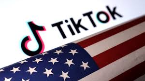 TikTok Says Reports Elon Musk could Buy Platform to Prevent US Ban are 'Pure Fiction'