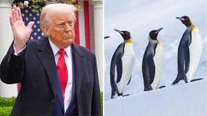 Unhabited McDonald Islands (Home to Penguines only), Slapped with US Tariff
