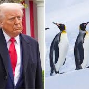 unhabited-mcdonald-islands-home-to-penguines-only-slapped-with-us-tariff