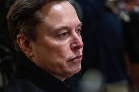 Tesla Profits Drop as Elon Musk Steps Back from DOGE Role during Trade Turmoil